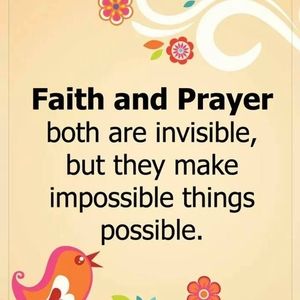 Meet your Posher, Chimene